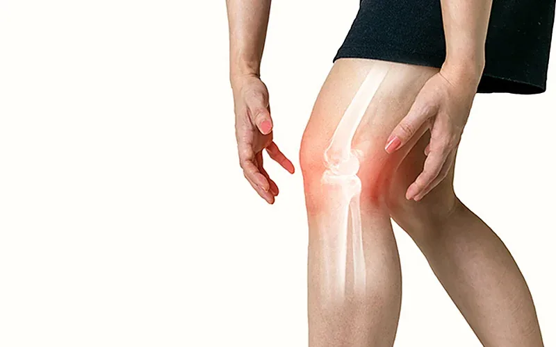 Articulación de la rodilla y el ligamento cruzado anterior